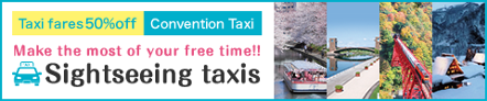 Sightseeing taxis